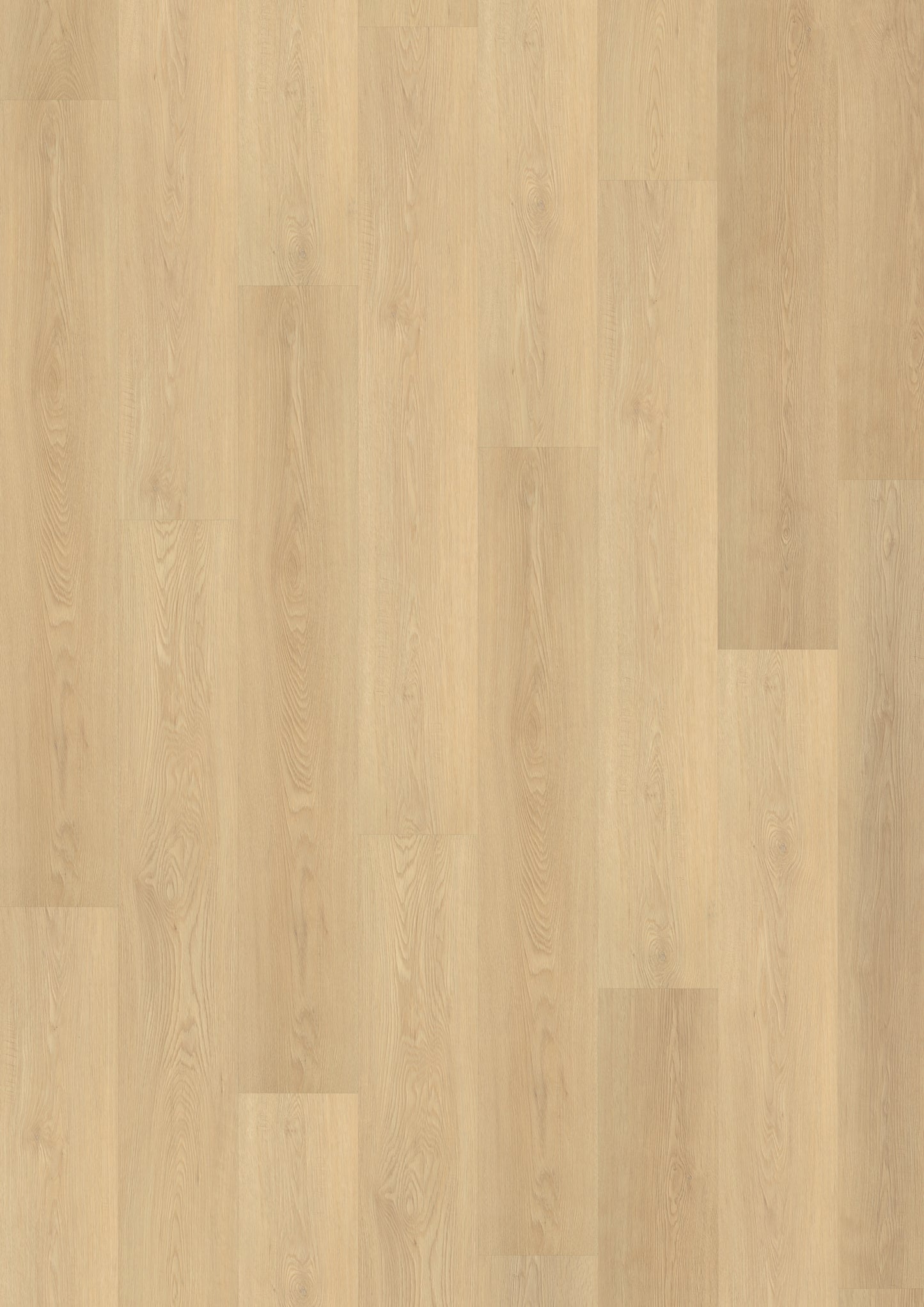 Vinyl | Eiche Klickvinyl Lunar Birch | Der Preisbrecher