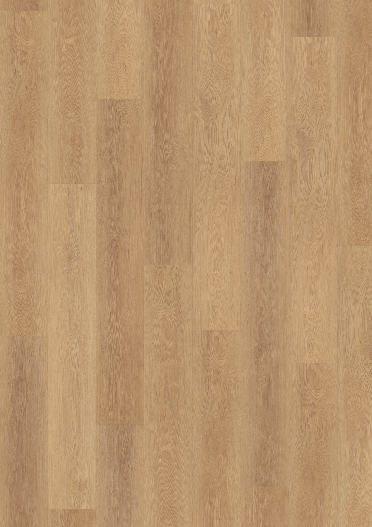 Vinyl | Eiche Klickvinyl Urban Nut | Der Preisbrecher