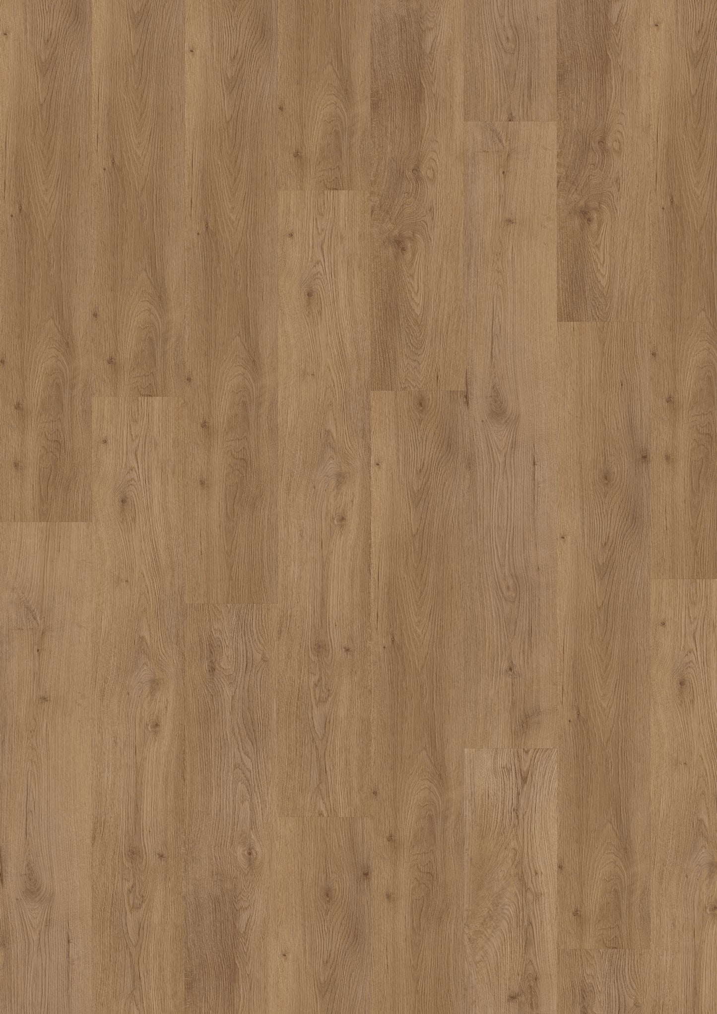 Vinyl | Eiche Klickvinyl Sunny Walnut | Der Preisbrecher