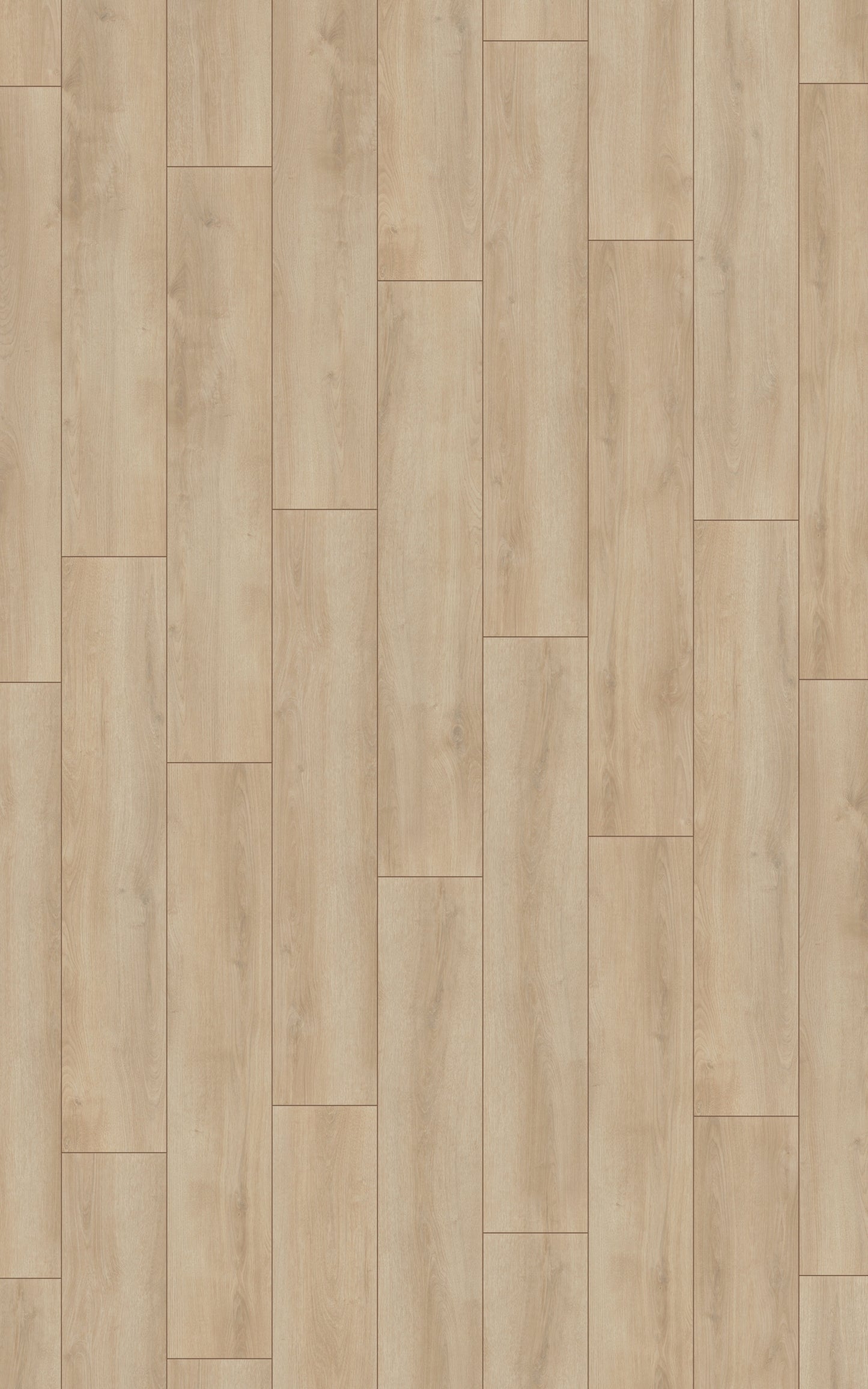 Laminat | Kronotex Serie Laminat Advanced Plus Sommer Eiche beige D3902 | Kronotex