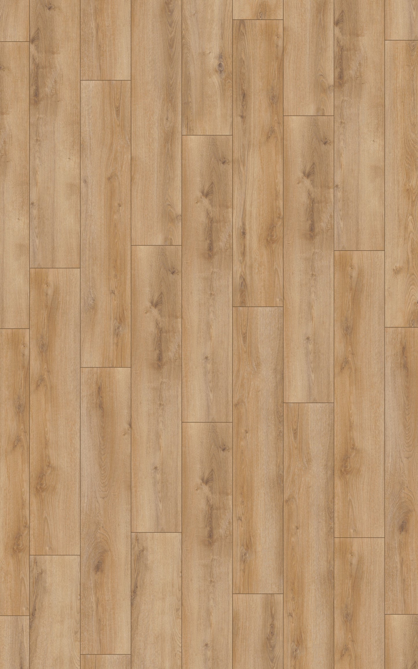 Laminat | Kronotex Serie Laminat Advanced Plus Sommer Eiche natur D3903 | Kronotex