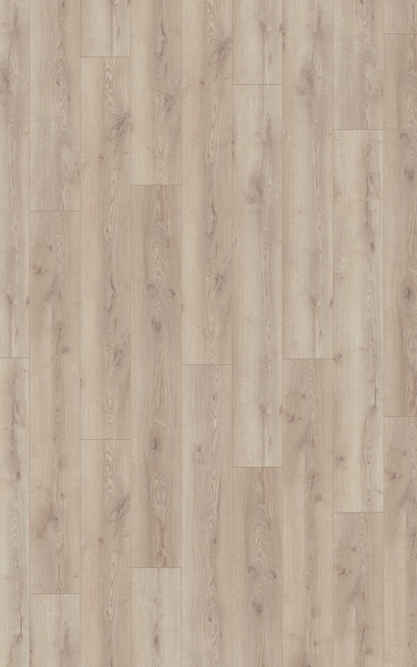 Laminat | Kronotex Laminat Mammut Plus Berg Eiche beige / Eiche Topeka D4728 | Kronotex