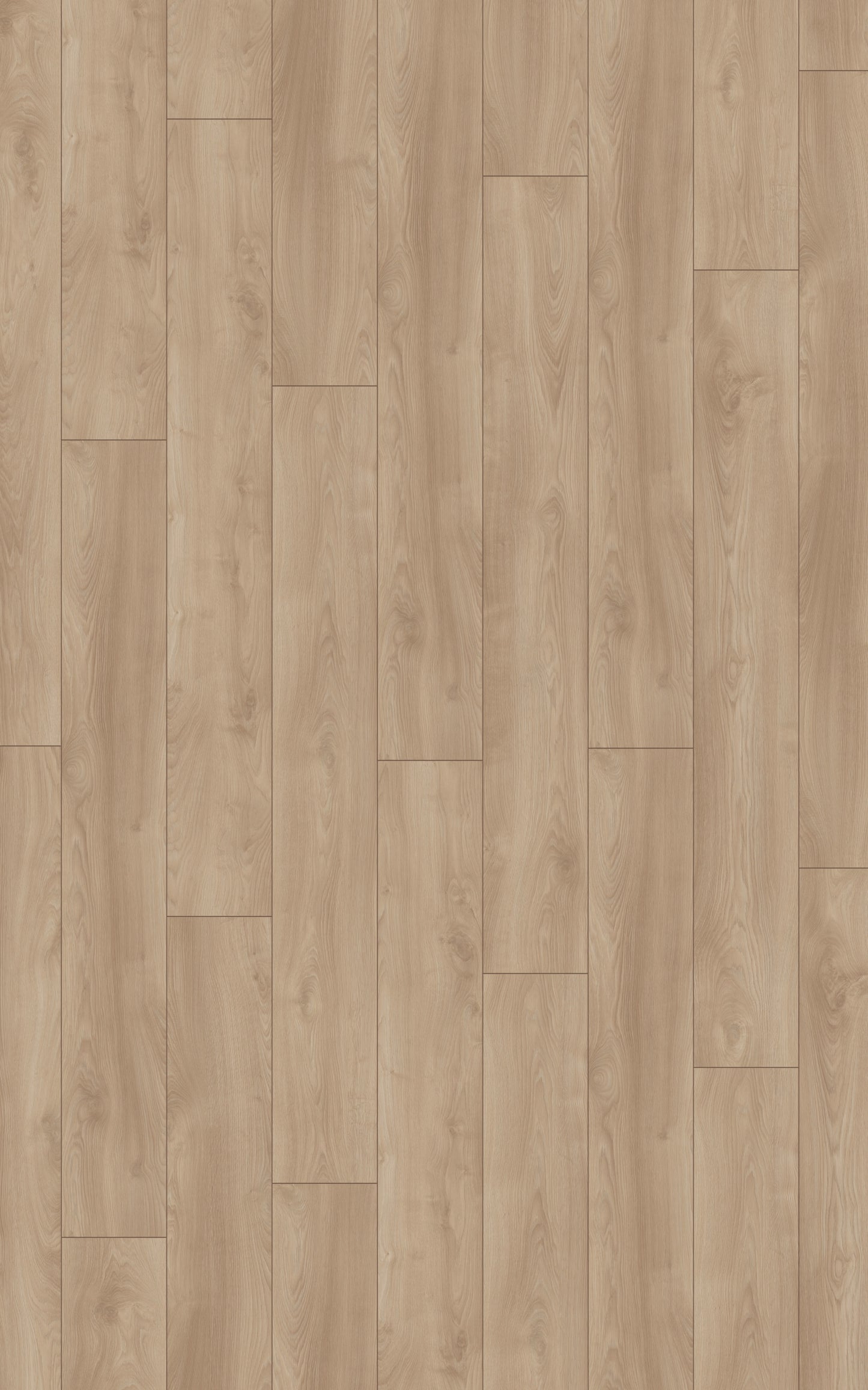 Laminat | Kronotex Laminat Mammut Plus Makro Eiche Hell D4752 | Kronotex