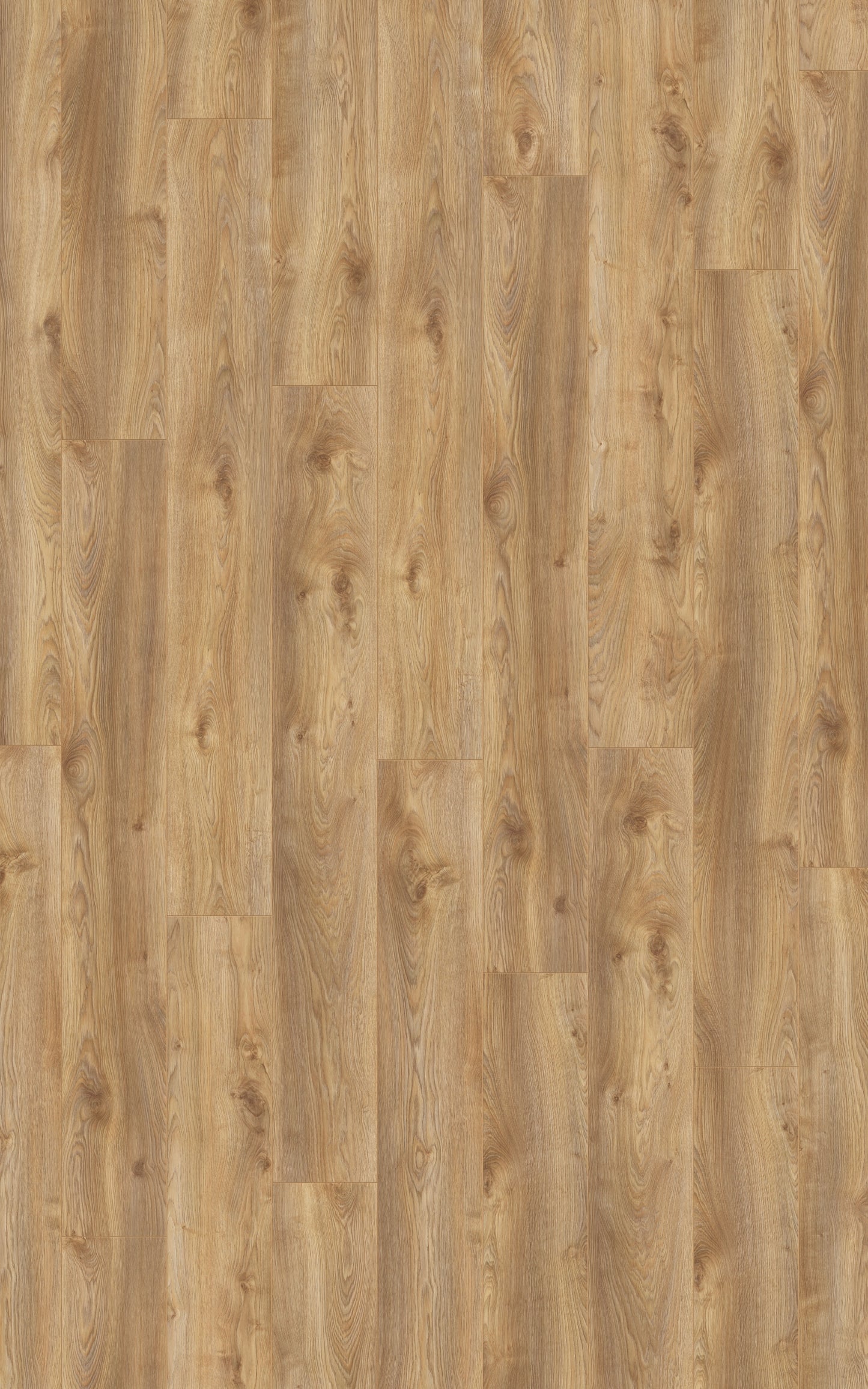 Laminat | Kronotex Laminat Mammut Plus Makro Eiche Natur D4794 | Kronotex