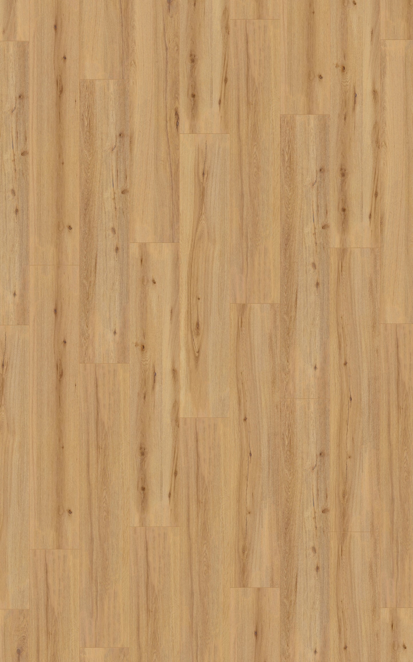 Laminat | Kronotex Laminat Exquisit Plus Arizona Eiche Natur D80052 | Kronotex