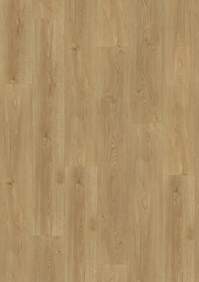 Vinyl | Eiche Amber Glow Klebevinyl | Der Preisbrecher