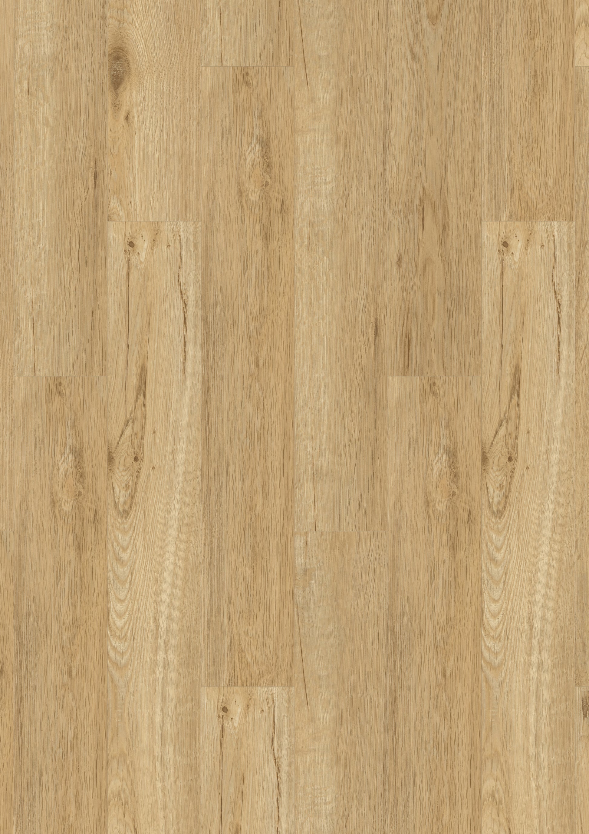 Vinyl | Gerflor Virtuo 55 Rigid AC | SAKIA 1118 | Gerflor