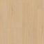 Vinyl | Gerflor Virtuo 55 Klebevinyl | BLOMMA CLEAR (EIR) 1462 | Gerflor